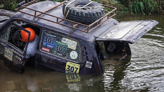 大大增强了 大大增强了