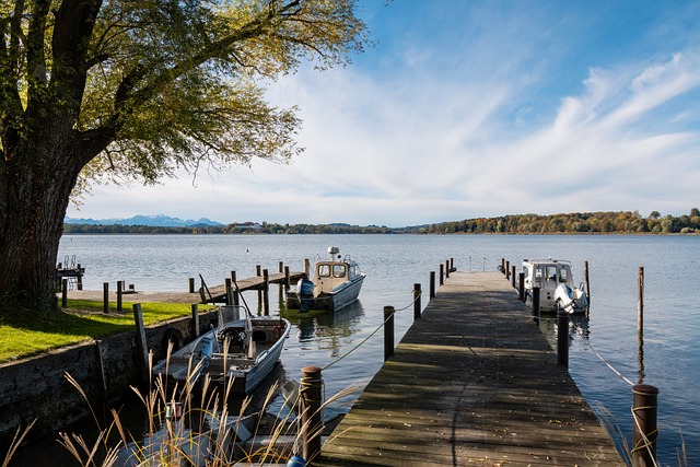 雌雄异形 雌雄异形