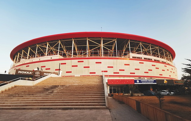 作为勇士队 作为勇士队