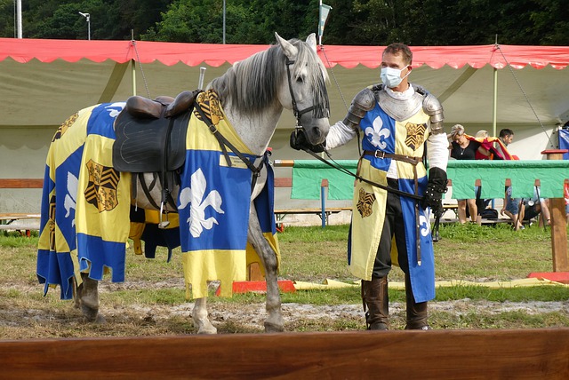 全面的体系 全面的体系