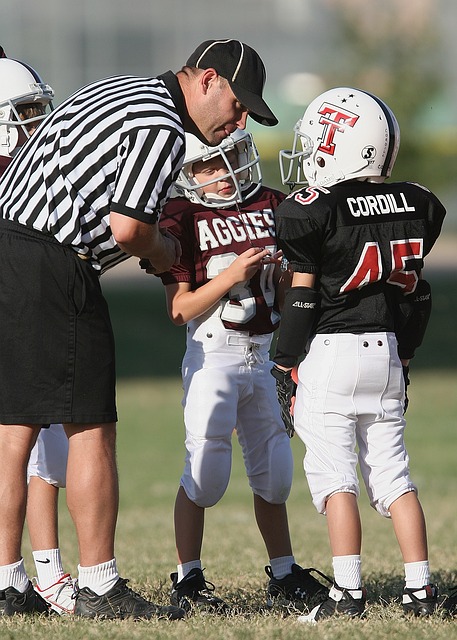 的歡呼和歌 的歡呼和歌