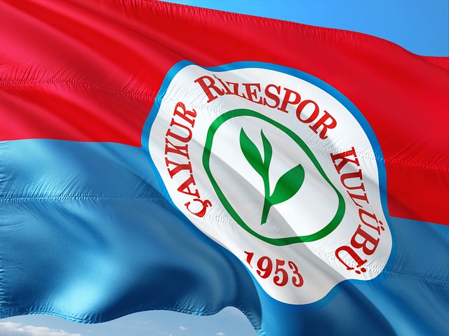 他的長年經 他的長年經