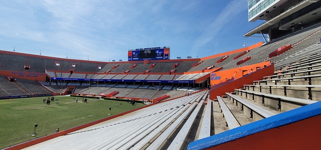 沃列夫的 沃列夫的