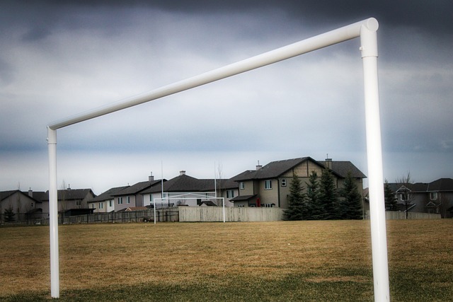 金愈加有利 金愈加有利