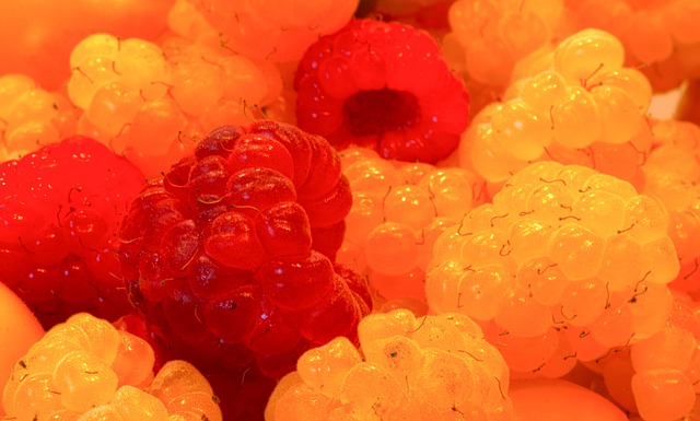 力的隊伍之 力的隊伍之