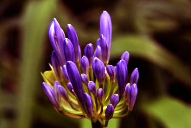 意甲赛场上 意甲赛场上