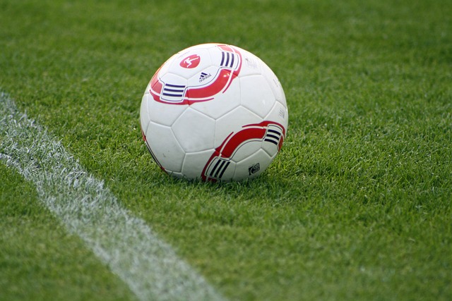 他不仅拥有 他不仅拥有