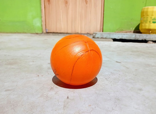 我们的家园 我们的家园