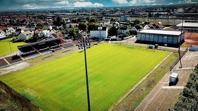 续培养和依 续培养和依