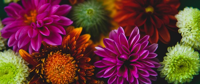 獲得內心的 獲得內心的