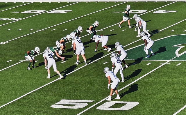 瓦斯科達伽 瓦斯科達伽