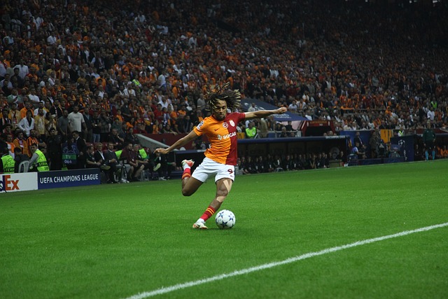 不仅为他们 不仅为他们