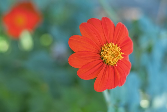 战略眼光 战略眼光